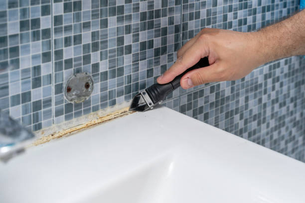 Best Residential Mold Remediation in Round Lake Beach, IL